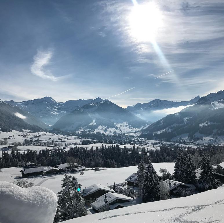 schonried