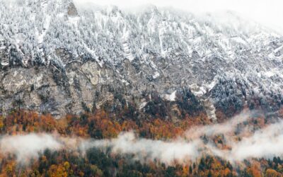 Saison Vata : conseils ayurvédiques d&rsquo;automne et début d’hiver